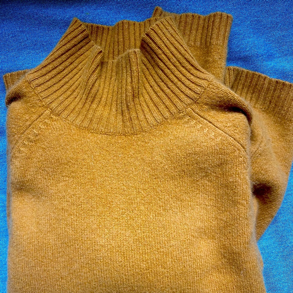 Iris Singer Cashmere Mock Turtleneck crop Sweater Brown